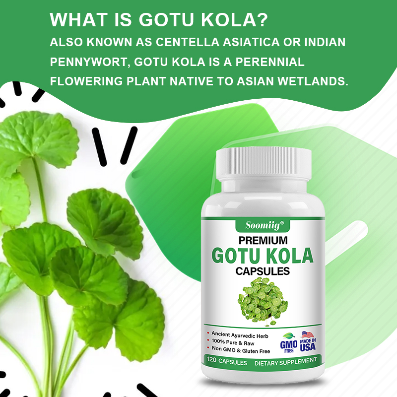 Gotu Kola Capsules 1300mg - Gi - огляд і ціна Ginkgo Biloba Extract